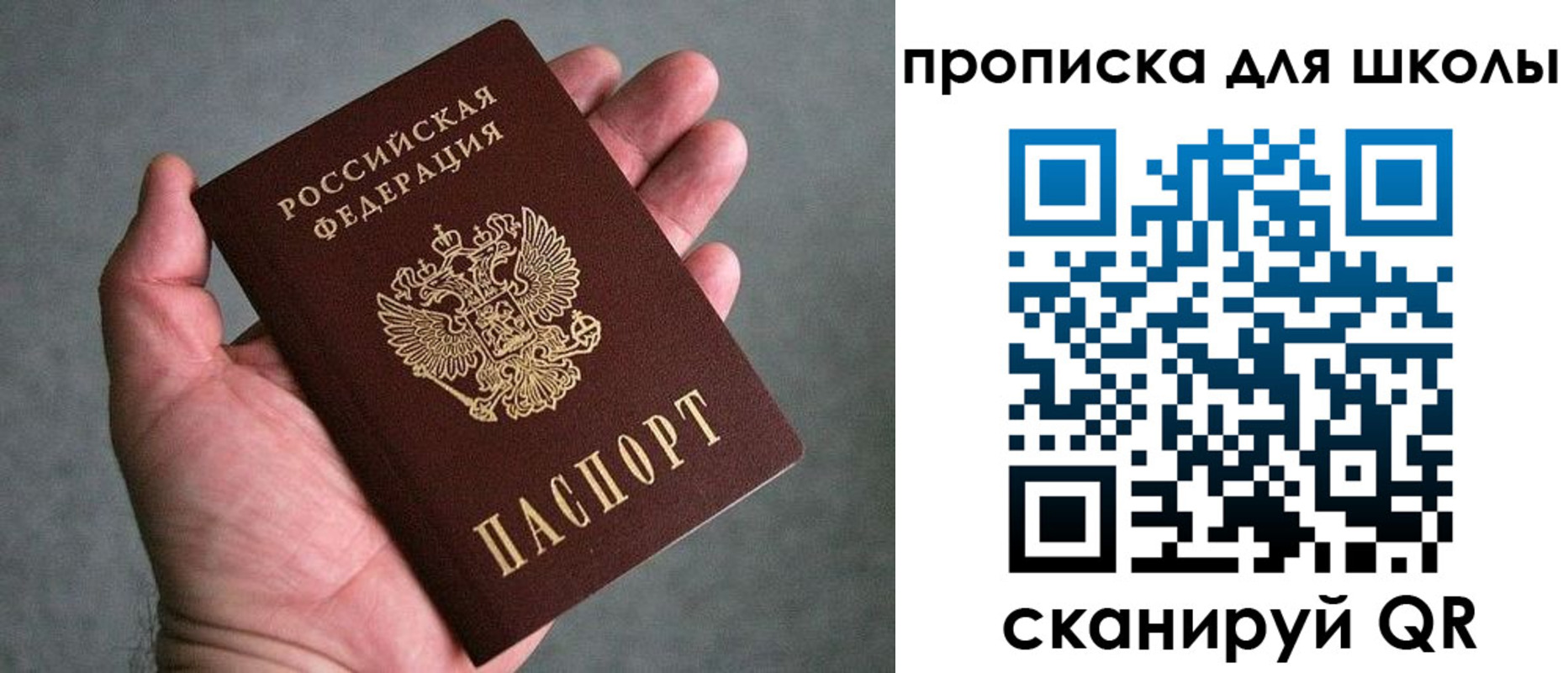 прописка для школы в Чапаевске